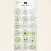 Wax Stamp Sticker-Green